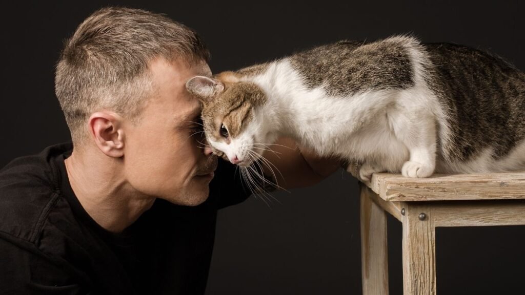Dueño haciendo cariño a su gato